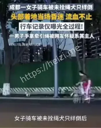 成都大二女生被狗绊倒开颅手术